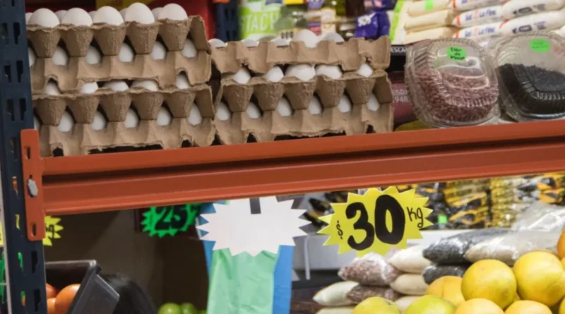 <strong>Escasez de huevos en EU por gripe aviar lleva al contrabando en frontera con México</strong>